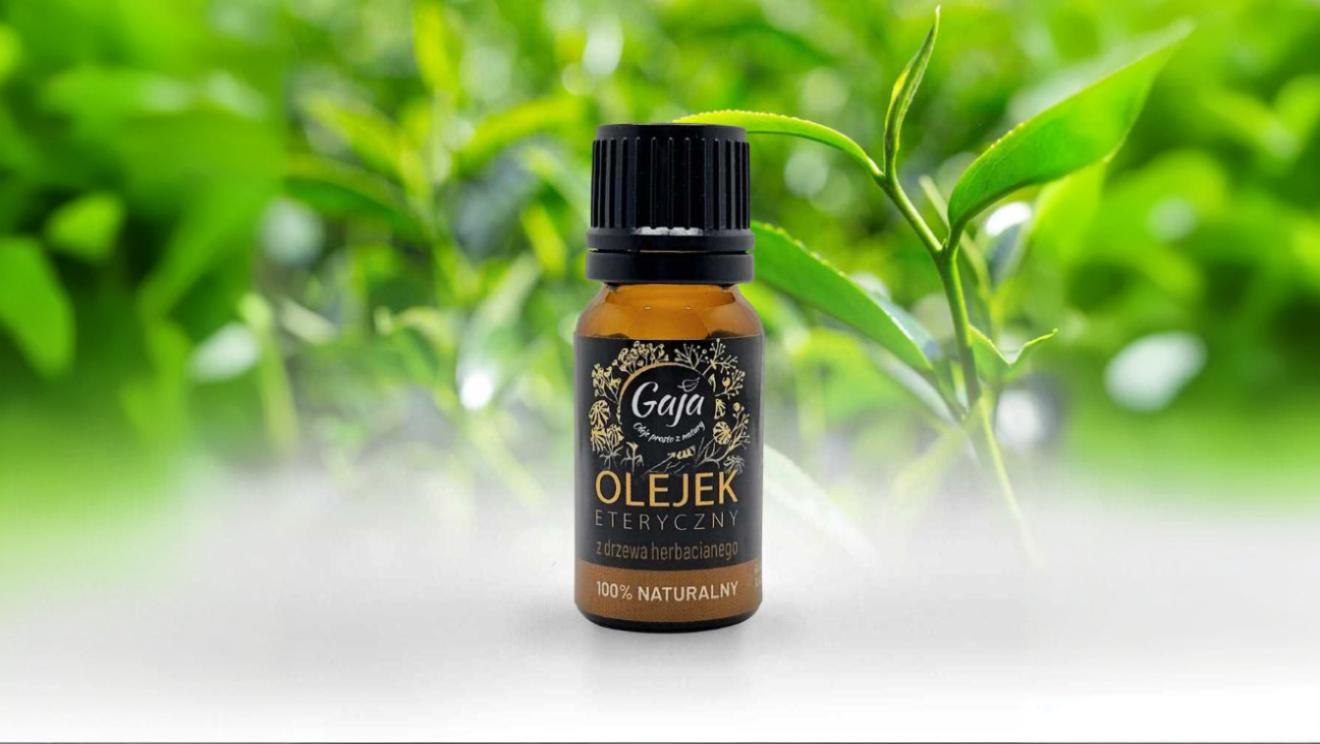 Olejek eteryczny z drzewa herbacianego - Olejarnia Gaja